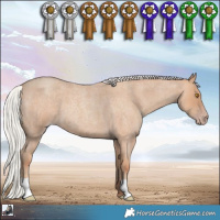Horse Color:Silver Classic Champagne Roan