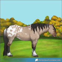 Horse Color:White Spotted Liver Red Dun Tobiano Blanket Rabicano 