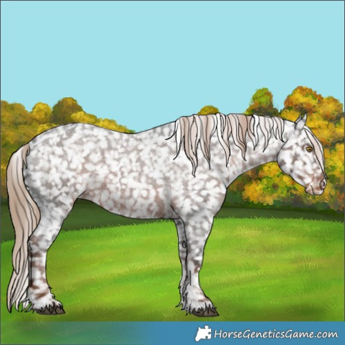 Horse Color:Liver Red Roan Sabino Snowflake Varnish 