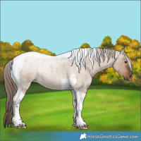 Horse Color:Liver Red Dun Roan Tobiano