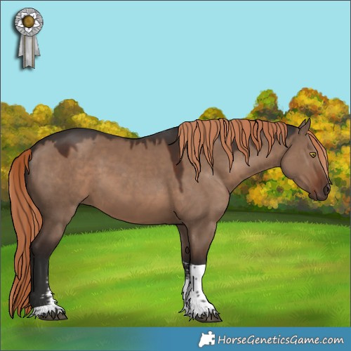 Horse Color:Liver Red Dun Sabino Tobiano Rabicano 