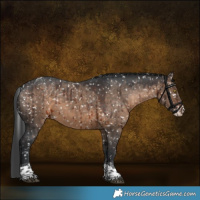 Horse Color:Brown Dun Sabino Tobiano Snowflake Varnish Brindle 