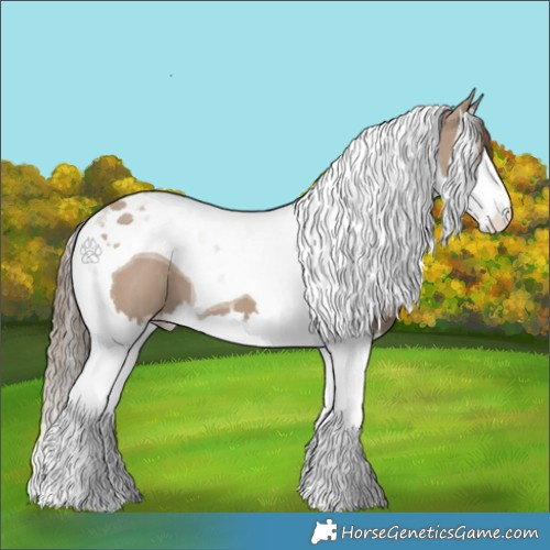 Horse Color:Liver Red Dun Splash Tobiano