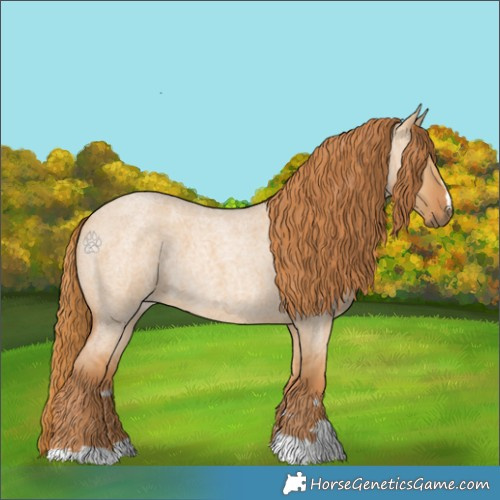 Horse Color:Red Dun Roan