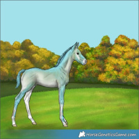 Horse Color:Watercolor Brown Onyx