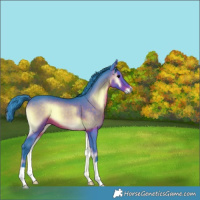 Horse Color:Watercolor Brown Onyx 