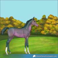 Horse Color:Watercolor Brown 