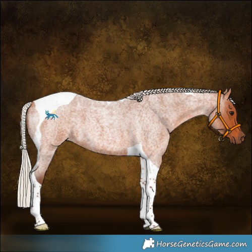 Horse Color:Silver Bay Roan Tobiano 