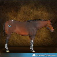 Horse Color:Bay Tobiano 