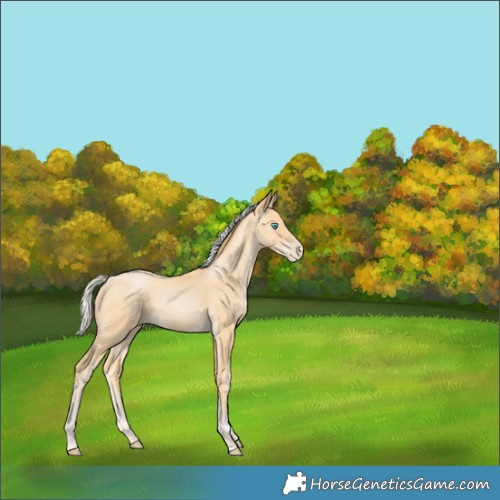 Horse Color:Silver Smoky Black Pearl 