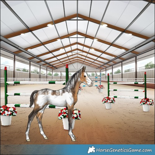 Horse Color:Powder White Buckskin Sabino Frame Rabicano 