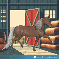 Horse Color:Silver Black 