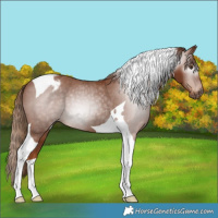 Horse Color:Gray Chestnut Tobiano Varnish 