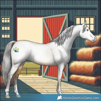 Horse Color:Gray Amber Cream Champagne 