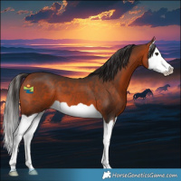 Horse Color:Brown Splash 