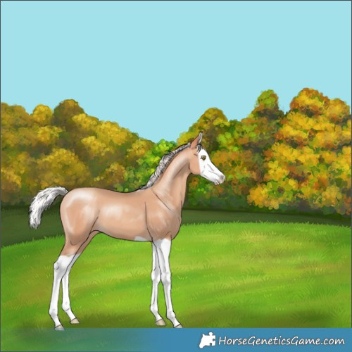 Horse Color:Silver Amber Champagne Splash 
