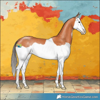 Horse Color:Bay Splash Rabicano