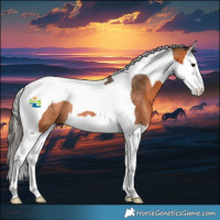 Horse Color:Bay Splash Tobiano Rabicano 