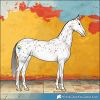 Horse Color:Bay Splash Near Leopard Rabicano 