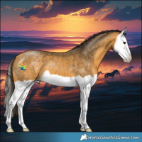 Horse Color:Buckskin Splash 