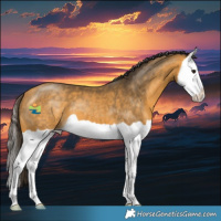 Horse Color:Buckskin Splash 