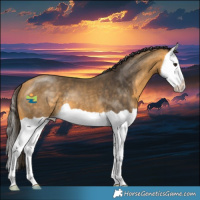 Horse Color:Buckskin Splash 