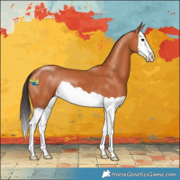 Horse Color:Bay Splash 