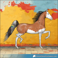 Horse Color:Bay Splash 