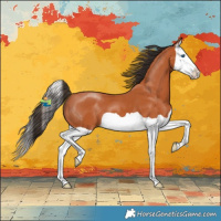 Horse Color:Bay Splash 