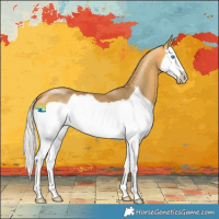 Horse Color:Silver Buckskin Splash Frame 