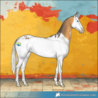 Horse Color:Silver Buckskin Splash Frame Appaloosa