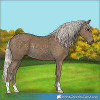Horse Color:Silver Smoky Black 