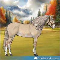 Horse Color:Chocolate Palomino Dun Sabino 