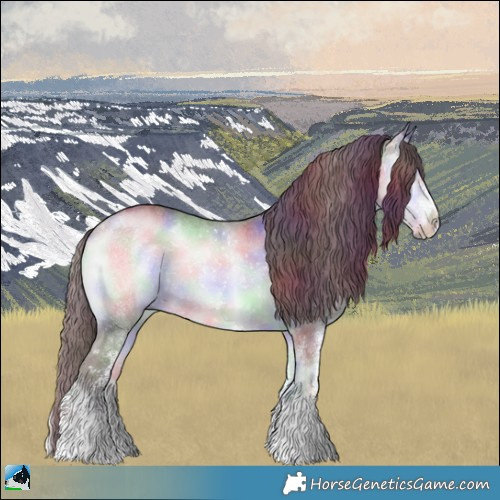 Horse Color:Nacre White Spotted Chocolate Brown Chinchilla Onyx Rabicano 