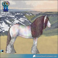 Horse Color:Nacre White Spotted Chocolate Brown Chinchilla Onyx Rabicano