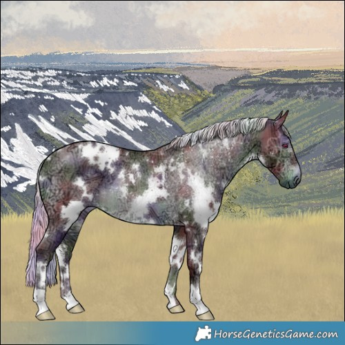 Horse Color:Nacre White Spotted Chocolate Silver Brown Chinchilla Ice