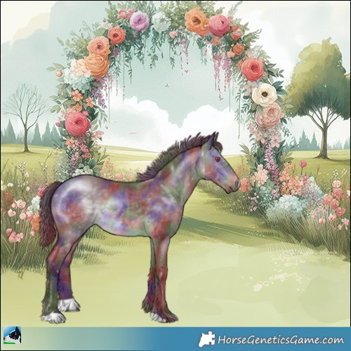 Horse Color:Nacre Chocolate Brown Chinchilla 