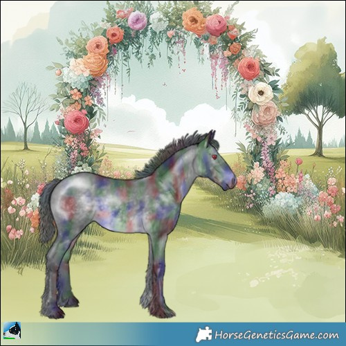 Horse Color:Nacre Brown Chinchilla 