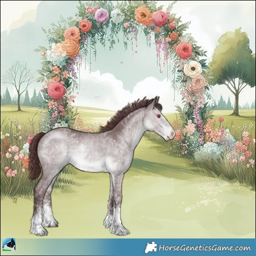 Horse Color:Chocolate Brown Chinchilla Sabino Rabicano 