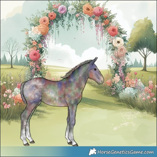 Horse Color:Nacre Silver Smoky Black Sabino Rabicano 