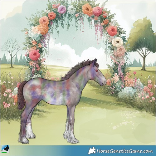 Horse Color:Nacre Chocolate Brown Chinchilla Sabino 