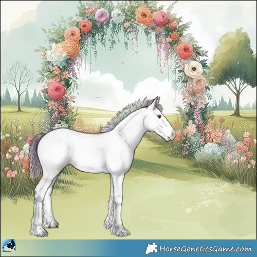 Horse Color:Nacre Chocolate Brown Chinchilla Dun Sabino Rabicano 