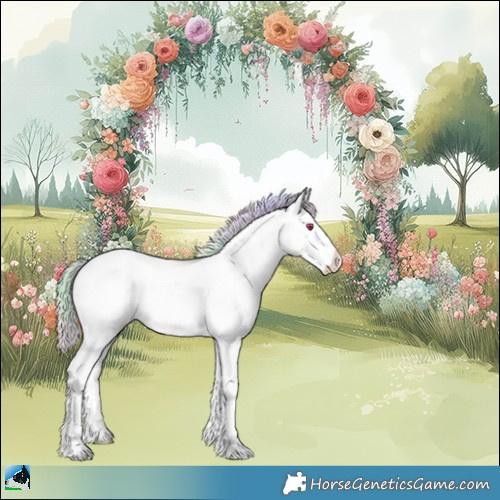 Horse Color:Nacre Chocolate Silver Brown Chinchilla Sabino Rabicano 