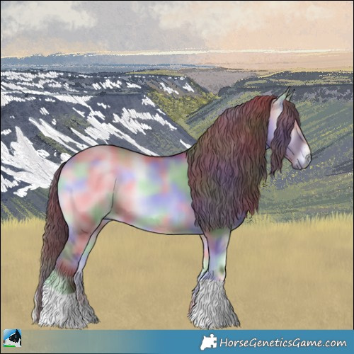 Horse Color:Nacre Chocolate Grullo Chinchilla Onyx