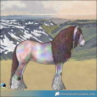 Horse Color:Nacre Chocolate Grullo Chinchilla Onyx 