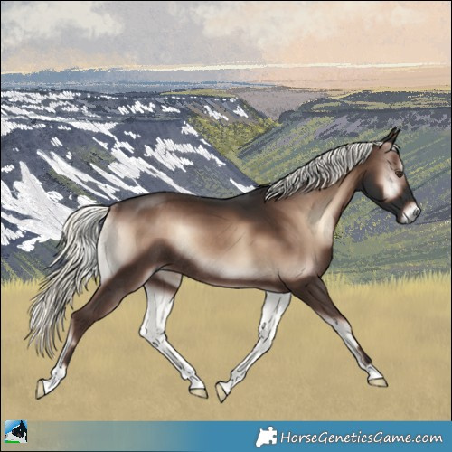 Horse Color:Liver Red Onyx Mushroom Rabicano