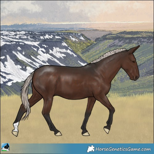 Horse Color:Liver Chestnut Mushroom
