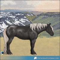 Horse Color:Liver Chestnut Mushroom 