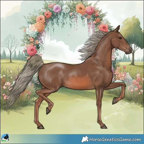 Horse Color:Chestnut Mushroom Rabicano 