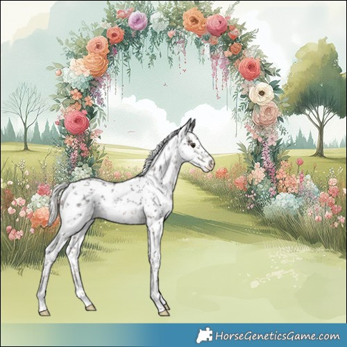 Horse Color:White Spotted Liver Chestnut Mushroom Sabino Rabicano 